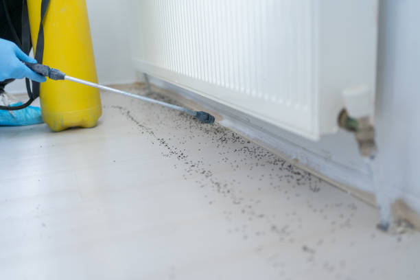 Best Emergency Pest Control  in Port Washington, WI